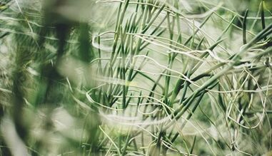 Ako si vyrobiť amulet pre šťastie vlastnými rukami