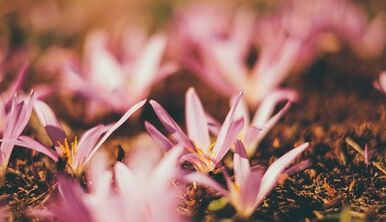 ako si vyrobiť amulet pre šťastie vlastnými rukami